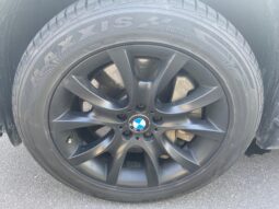 BMW X6 xDrive 50i Steptronic voll